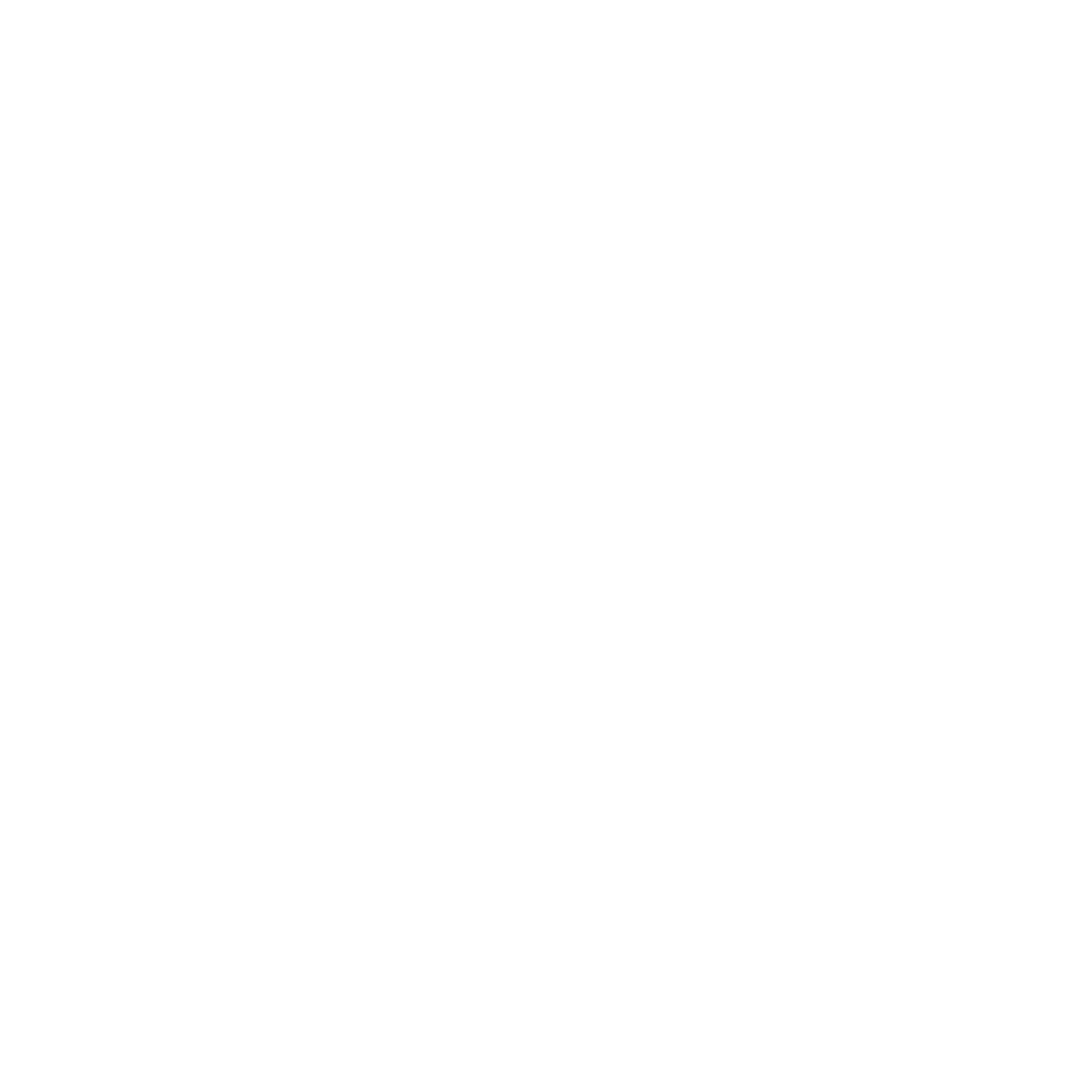 zidinique.com